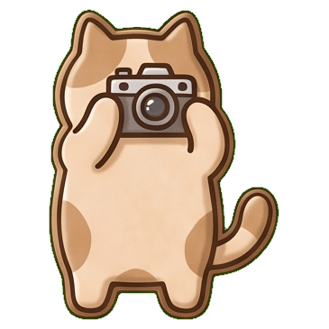 Cookie Cat