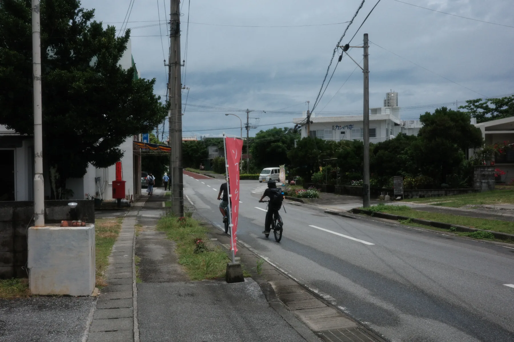西表島 手付かずのマングローブ林